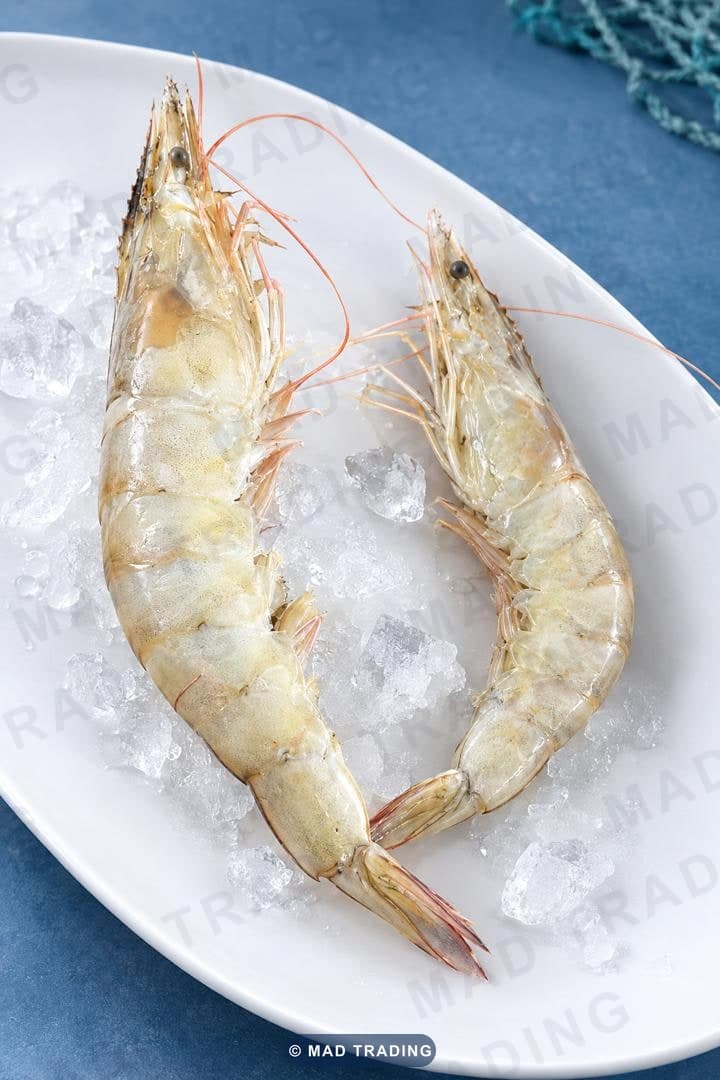 Crevette blanche entière crue