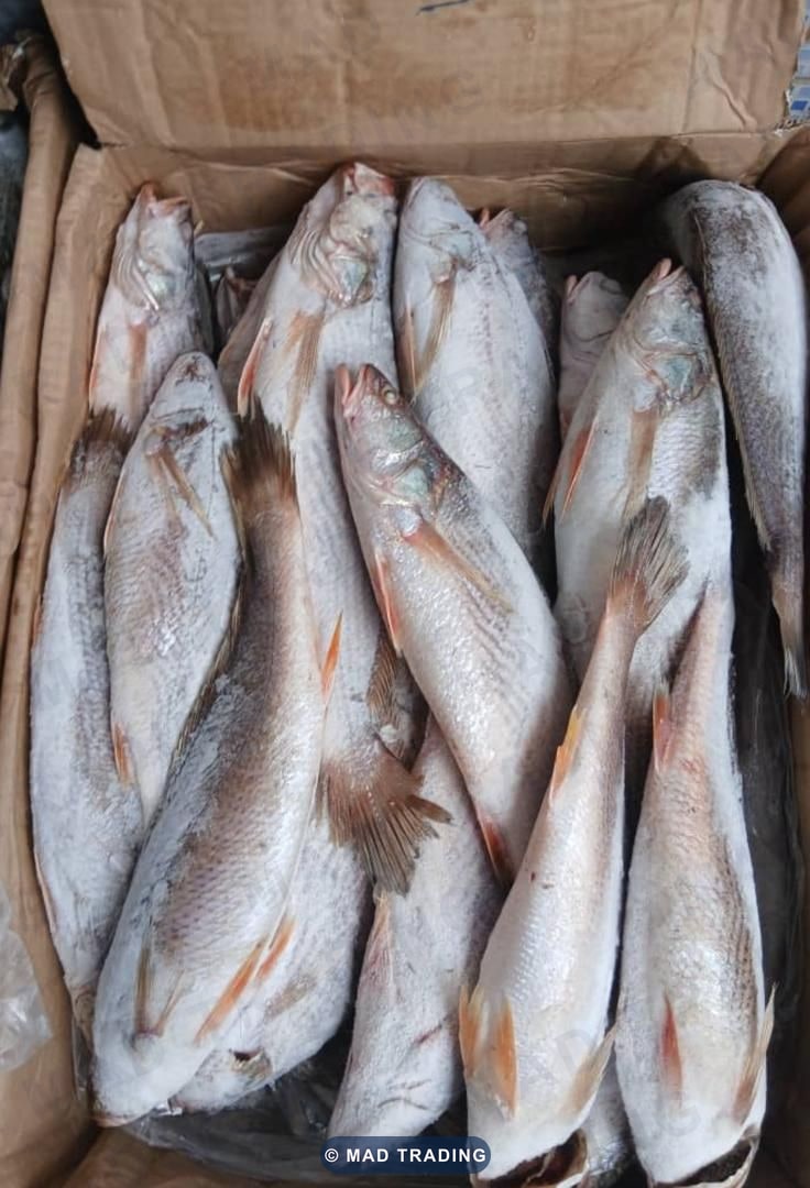 Poisson sosso — photo 1