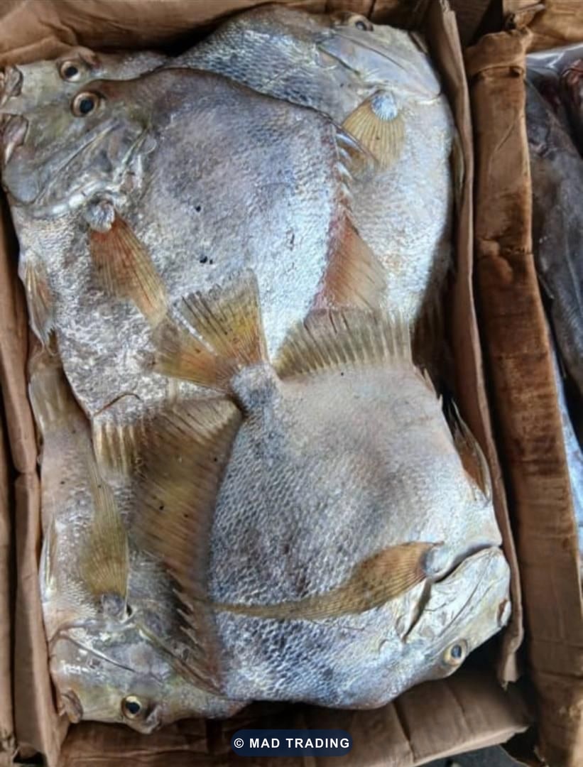Poisson saint-pierre — photo 1